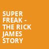 Super Freak The Rick James Story, Akron Civic Theatre, Akron