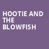 Hootie and the Blowfish, Blossom Music Center, Akron